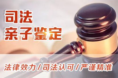 大理司法DNA鉴定需要怎么做,大理司法DNA亲子鉴定如何收费