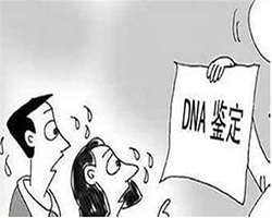 大理落户亲子鉴定中心在哪里，大理落户口亲子鉴定收费是多少钱