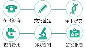 大理同父异母半同胞鉴定