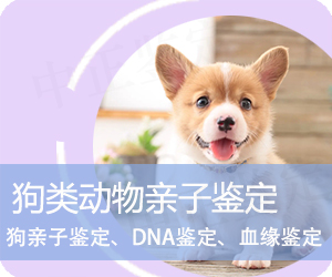 大理狗类动物亲子鉴定