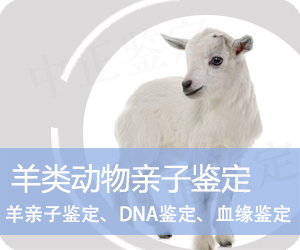 大理羊类动物亲子鉴定