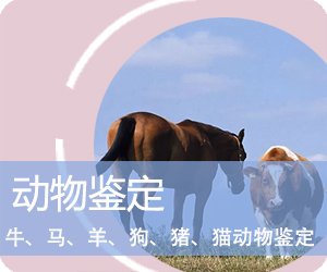 大理动物鉴定