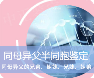 大理同母异父半同胞鉴定