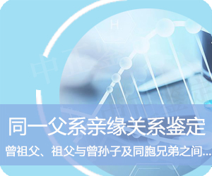 大理同一父系亲缘鉴定